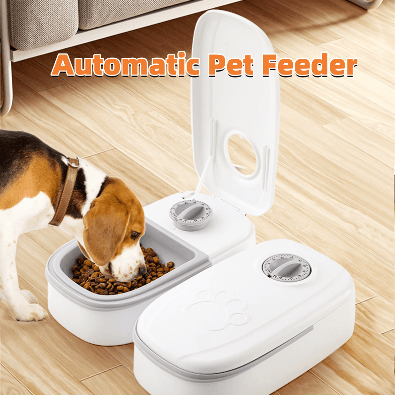 Smart Automatic Cat Feeder