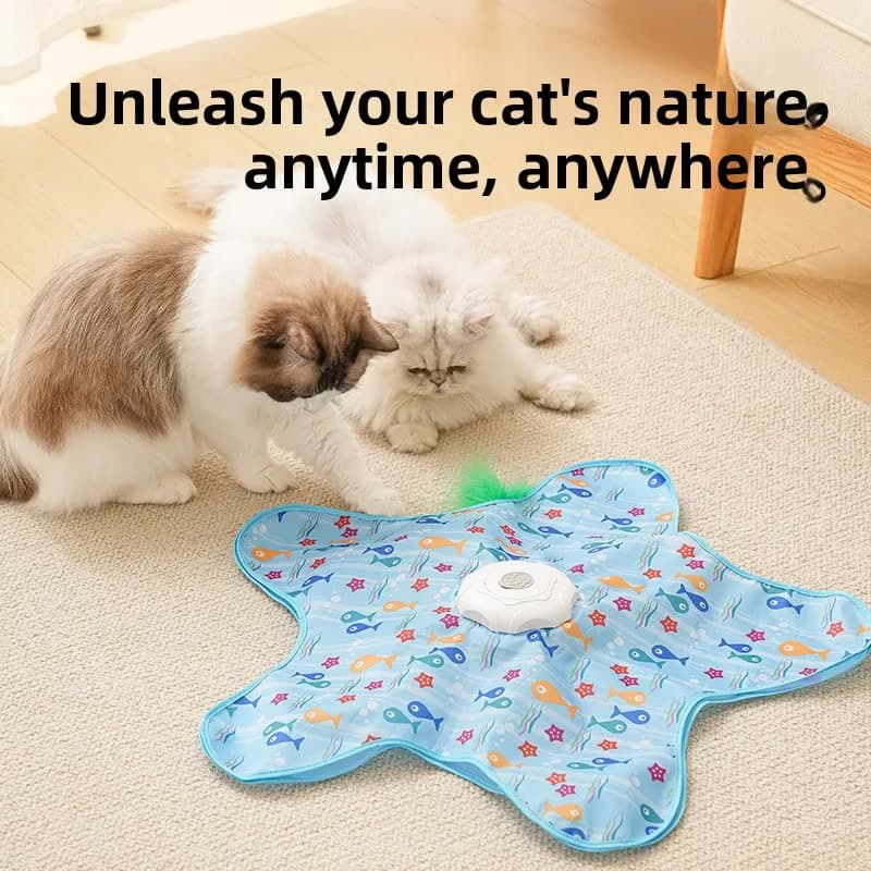 Interactive Hide & Seek Cat Toy